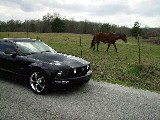 Mustang with Original Edition